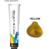 Bleach & Color Crème Yellow 80gr -Procoiffure 00615098.600