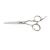 Ciseaux RAVEL 5" Mashiro -Procoiffure 31302452.600