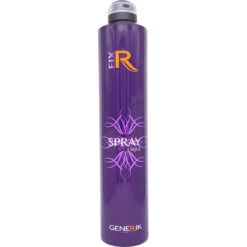 Spray Laque Fixation Rapide 500ml