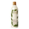Crème De Soin Lavante Hydratante & Régenerante Mizani 500ml 2 Crème De Soin Lavante Hydratante & Régenerante Mizani 500ml -Procoiffure MI0026556.600