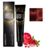 BB Hair Plex N°7.66 Blond Rouge Intense 100ml 2 BB Hair Plex N°7.66 Blond Rouge Intense 100ml -Procoiffure d1325597 7f4c 4c1e b6cd 900e9e013a27.600